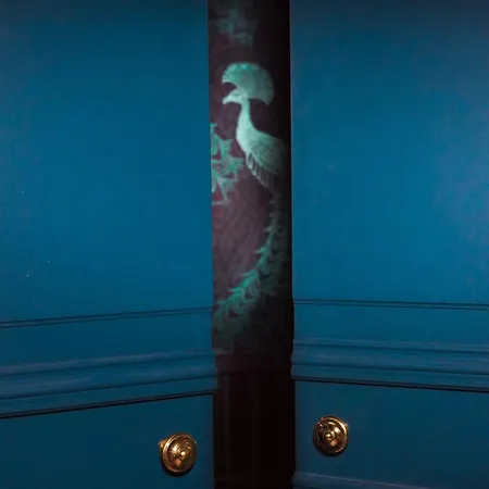 Madame C - Particulier Hotel Štrasburk