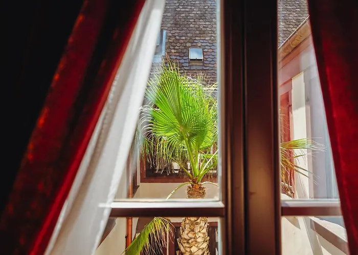 Madame C - Particulier